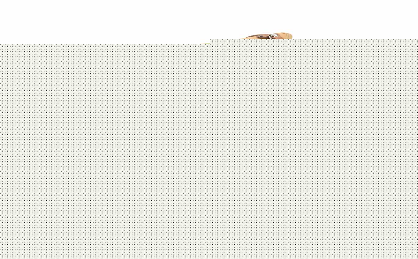 Bag/Case SIP "Classic" Large brown beige RAL 1011 For Rack SIP Falan Parts