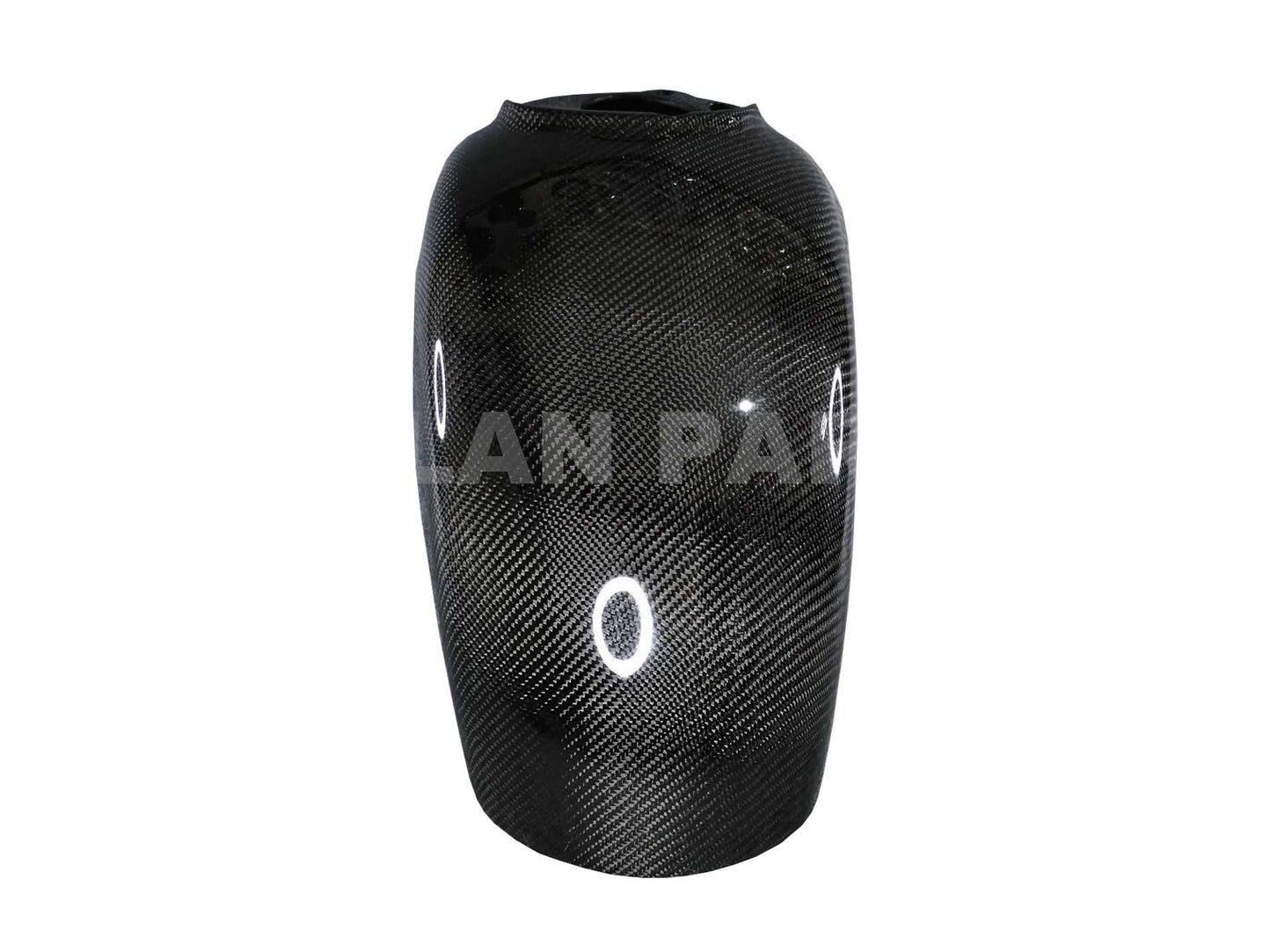 Carbon Fiber Mudguard Front | Vespa GTS/GTS Super/GT/GT L 125-300cc Falan Parts 369.99 Falan Parts
