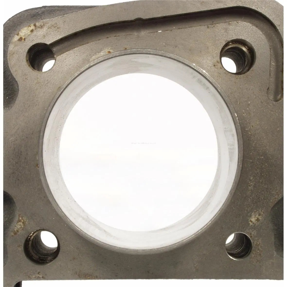 Racing Cylinder POLINI 79 cc | Vespa ET4/LX/S 2V 50cc 4-stroke AC PIAGGIO Polini 209.95 Falan Parts