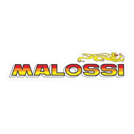 Malossi  Falan Parts