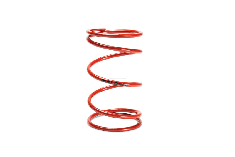 Contrast Spring MALOSSI 2916460.R0 | M5111258/M5111397/M5111885 and original Variator Malossi  Falan Parts