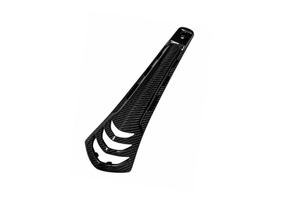 Carbon Fiber Horn Cover | Vespa Sprint/ Primavera 50-150cc Euro5+ ('24-) FP Parts  Falan Parts