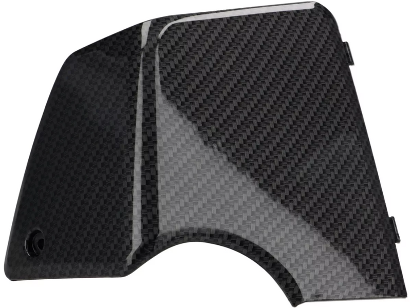 Glovebox Door Trim Set Moto Nostra Carbon Look | Vespa GTS/GTS Super/GTV/GT 60/GT/GT L 125-300cc MOTO NOSTRA  Falan Parts