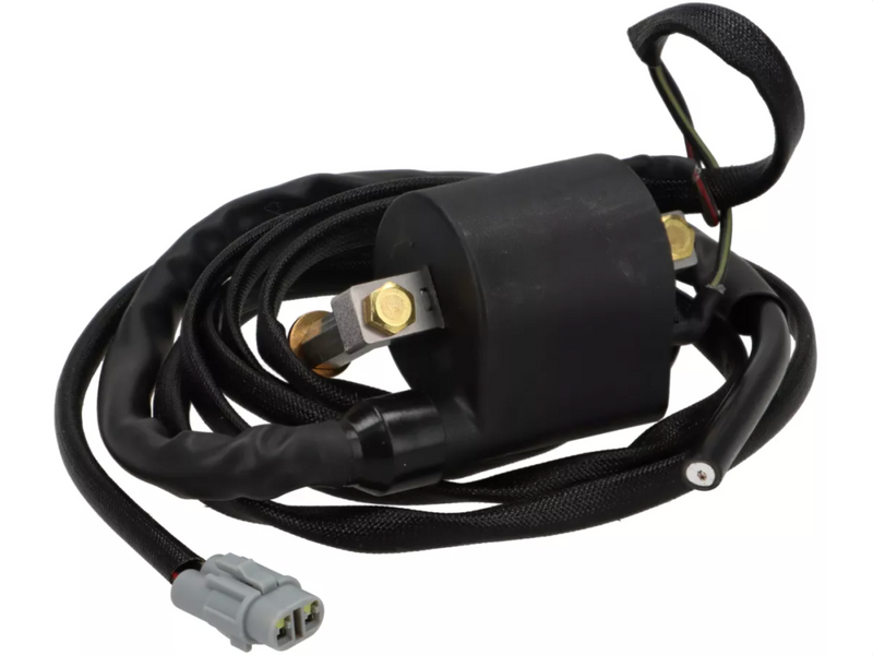 Tuning Kit with ECU/CDI BGM | Vespa Primavera 50cc BGM  Falan Parts